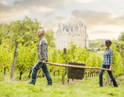 Caucasian farmers carrying grapes in vineyard
