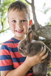 Caucasian boy holding rabbit