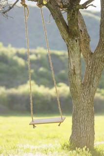 Tree swing