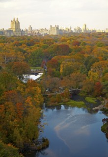 Aerial view of urban park