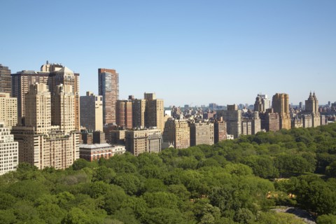 Urban park and skyscrapers