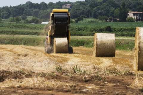 Tractor baling hay in field