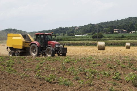 Tractor in field