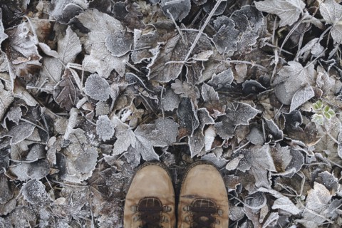 Boots standing on leaves covered with frost