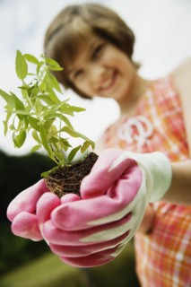 Girl holding small plant