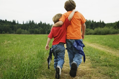 Two brothers walking in field