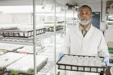 African American scientist working in laboratory