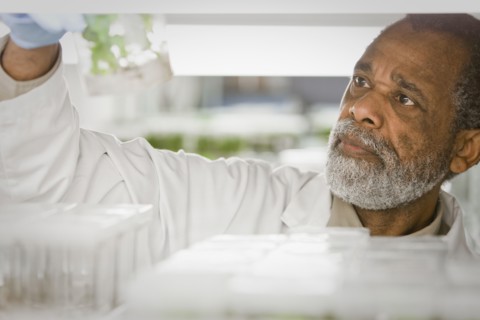 African American scientist working in laboratory