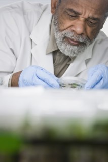 African American scientist working in laboratory