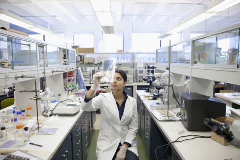 Indian scientist working in laboratory