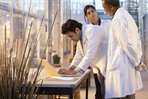 Scientists working in laboratory