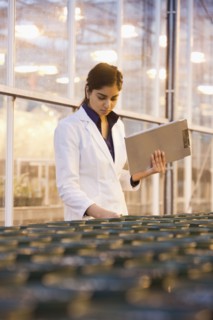 Indian scientist working in laboratory