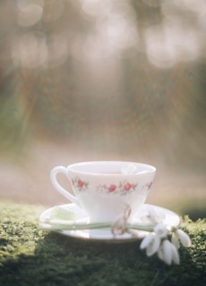 Sunshine on teacup and flower on moss