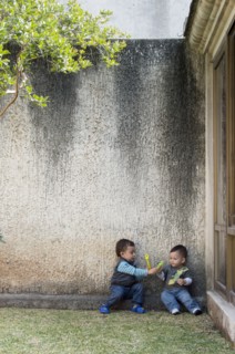 Hispanic boys playing in yard