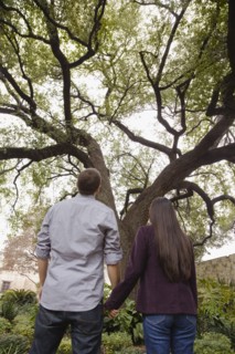 Couple holding hands and looking at tree