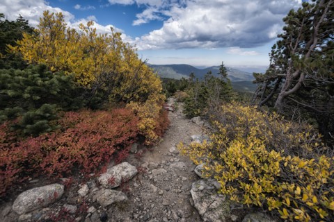 Autumn leaves in mountain landscape