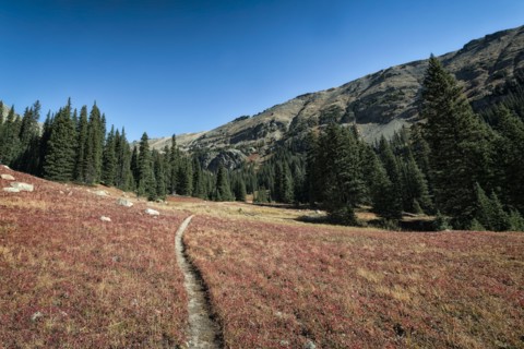 Trail to trees in rolling landscape