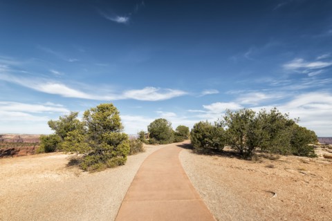 Path in sunny park