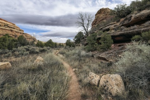 Clouds over path in desert