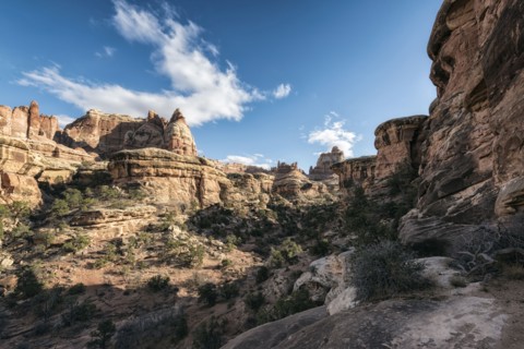 Blue sky over canyon in Moab