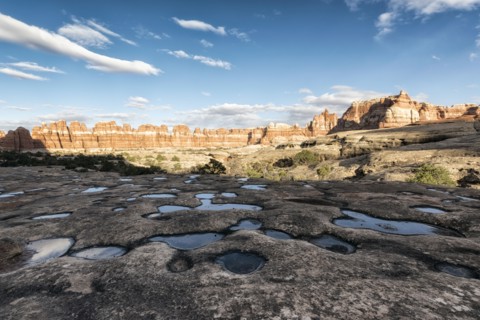Puddles in desert