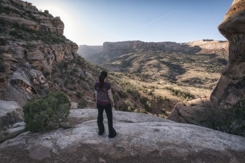 Woman admiring scenic view of desert