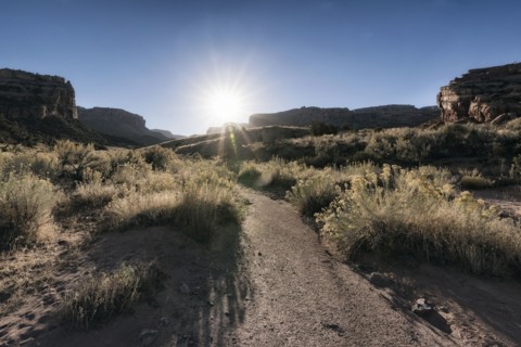 Sun in blue sky over desert