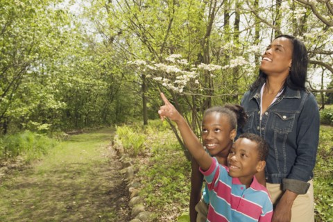African mother and children exploring in park