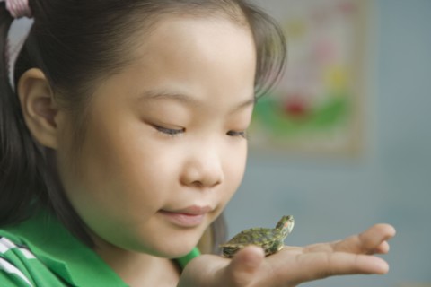 Chinese girl holding miniature turtle
