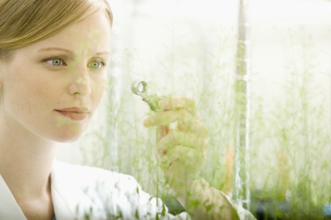 Caucasian scientist examining plant growth