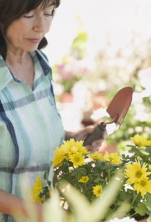Close up of senior woman gardening