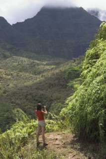 High angle view of woman looking out over lush jungle valley
