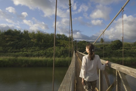 Rear view of woman walking on wooden footbridge