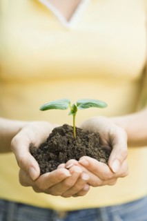 Hispanic woman holding seedling