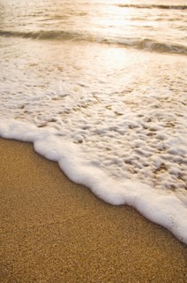 Foamy wave on beach
