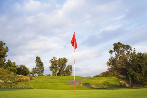 Flag on golf course