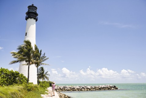 Lighthouse and tropical palm trees near ocean