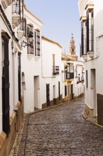 Cobblestone alley of quaint village