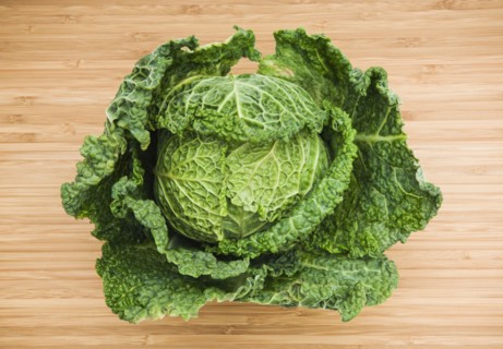 Head of savoy cabbage