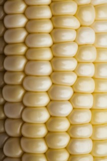 Close up of corn on the cob