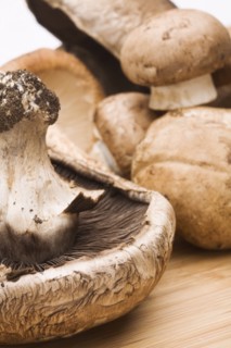 Close up of cremini mushrooms