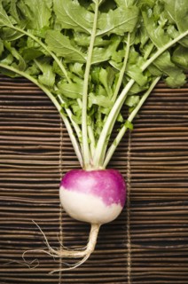 White globe turnip on mat