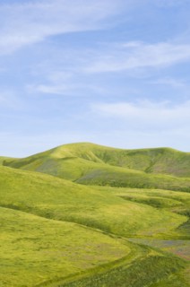 Hills and blue sky in rolling landscape
