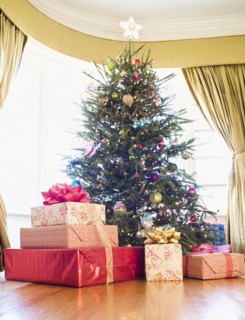 Wrapped gifts under Christmas tree