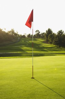 Flag in hole on golf course