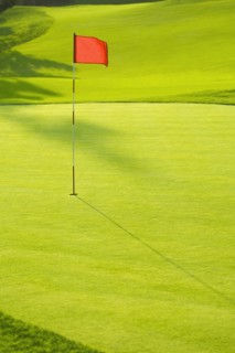 Flag in hole on golf course