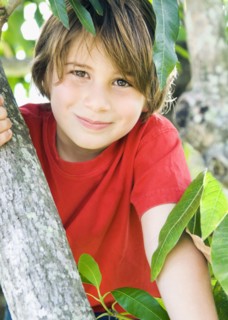 Caucasian boy smiling in tree