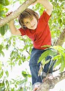 Caucasian boy smiling in tree