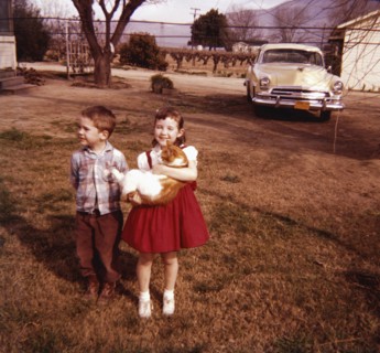 Caucasian brother and sister standing in yard holding cat