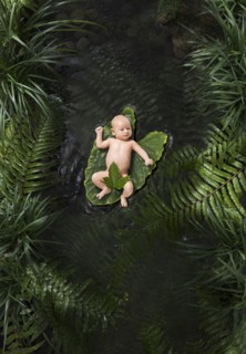 Naked Caucasian baby boy floating in stream on leaf
